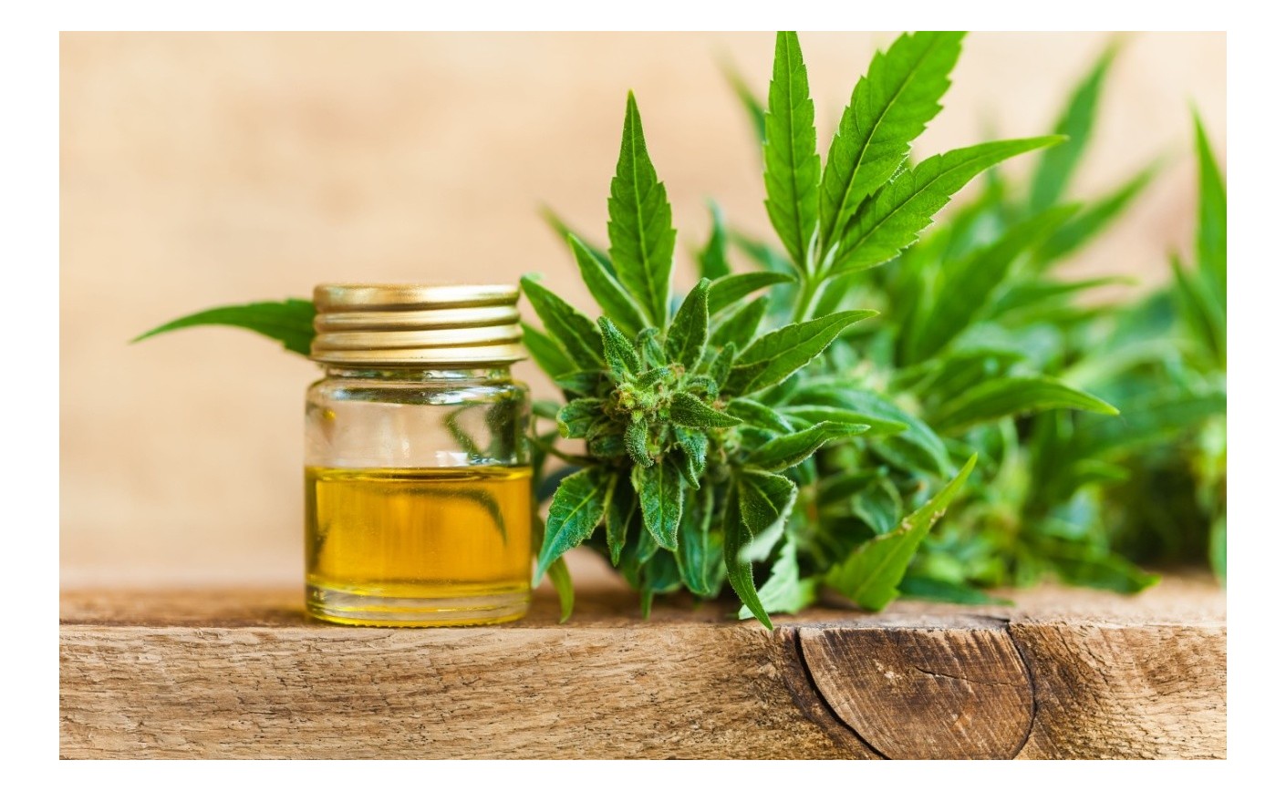 THCJD: Ein neuer Cannabinoid mit starken Effekten und therapeutischem Potenzial